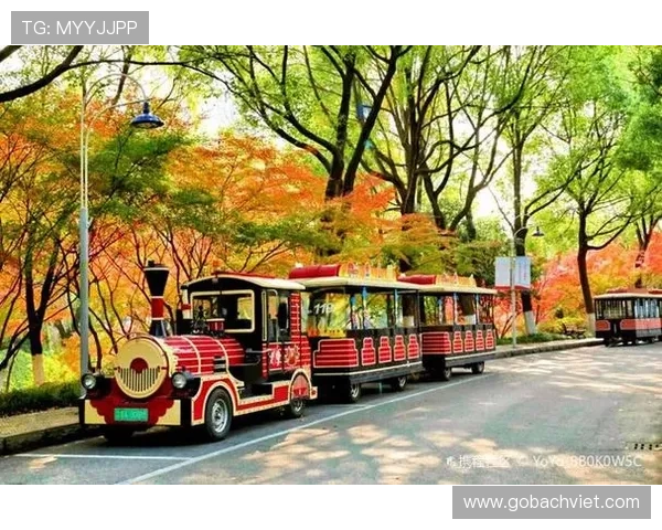 火博app安全可靠登录教程保障用户账号信息安全与顺畅体验 火博app安全可靠登录教程保障用户账号信息安全与顺畅体验