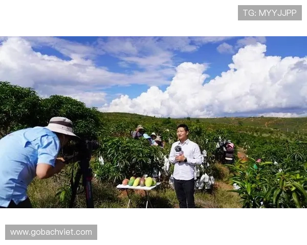 芒果体育最新赛事直播安排与观看指南,确保你不错过每一场精彩比赛 芒果体育最新赛事直播安排与观看指南,确保你不错过每一场精彩比赛