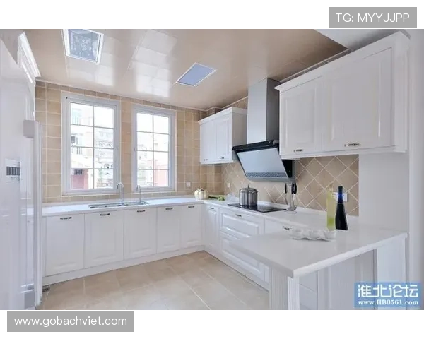 B体育国际官网入口最新优惠活动与注册流程详细解析